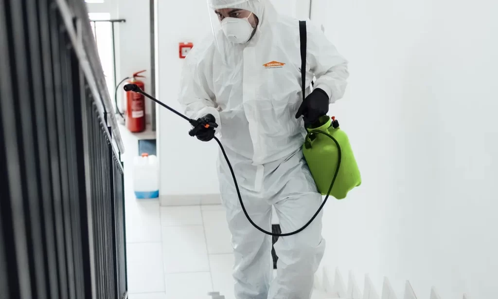 Biohazard Cleanup services
