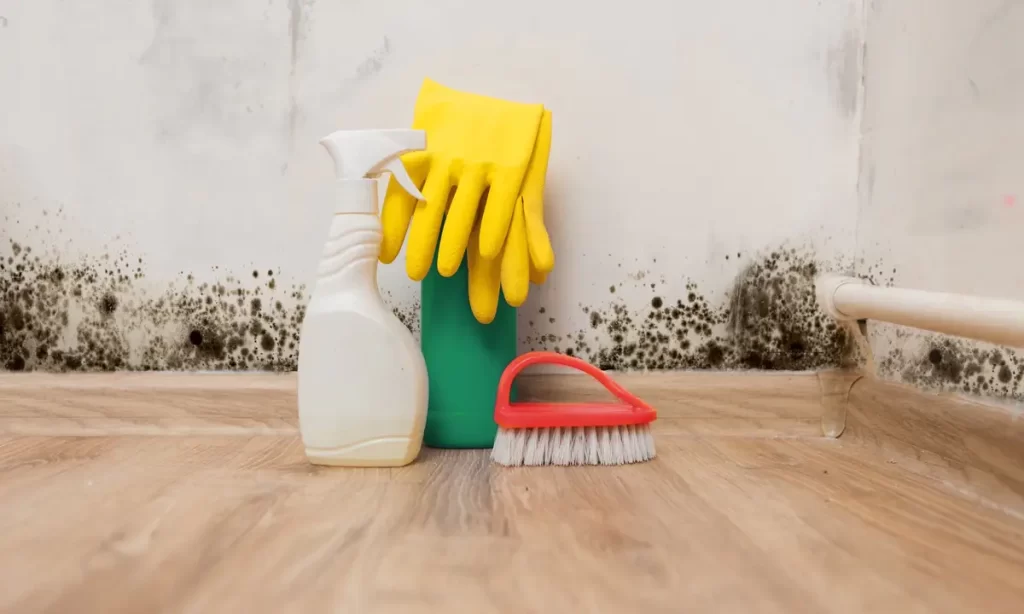 Mold Removal products