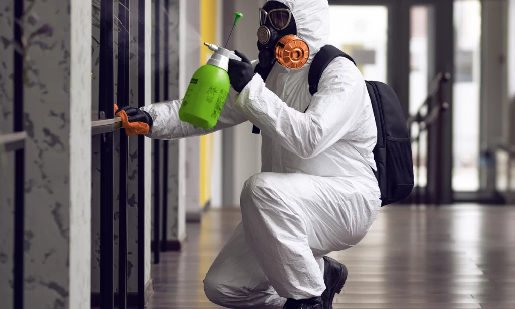 Mold Remediation Challenges