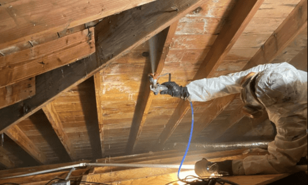 Mold-Remediation-in-Woodstock-Basements-and-Crawlspaces