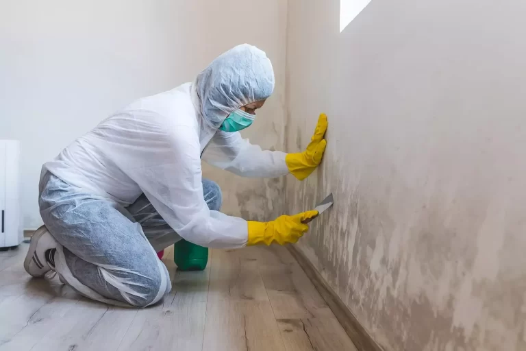 The Connection Between Leaks and Mold Growth in Woodstock